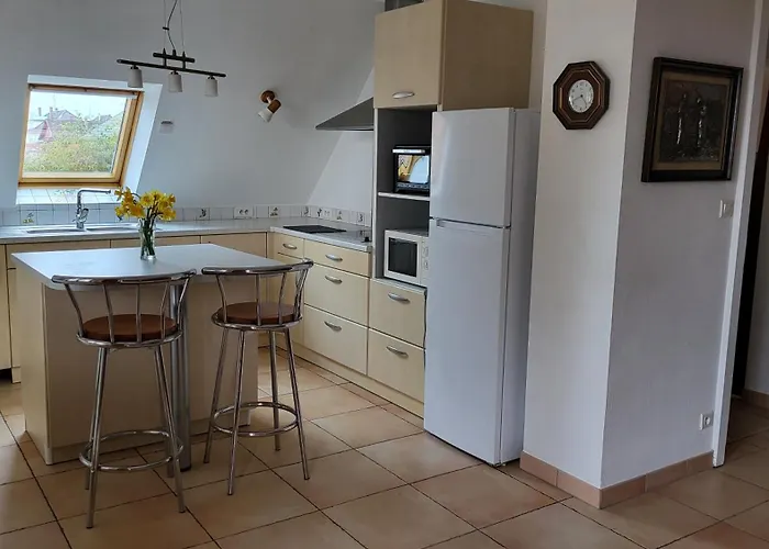 Daire Le Refuge De Kintzheim